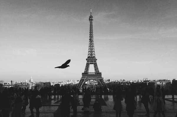 Vero molestias voluptatem consequatur sint